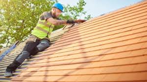 Best Roof Moss and Algae Removal  in Burley, ID