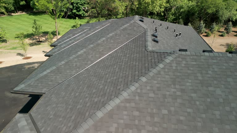 Trusted Burley, ID Roofing service Experts