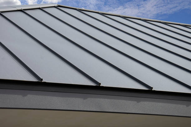 Best Green or Eco-Friendly Roofing Solutions  in Burley, ID